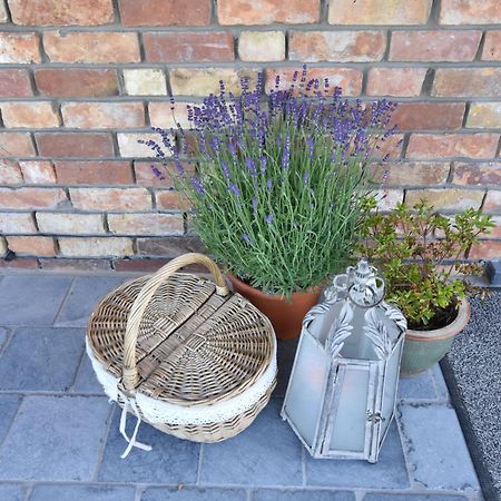 Tasteful Holiday Home In Sijsele Brugge With Garden Veldhoek 외부 사진